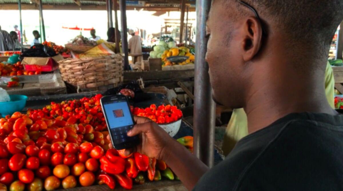 Building a Strong Brand Identity for Maximum Impact